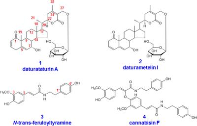 Metabolites Identification of Bioactive Compounds Daturataturin A, Daturametelin I, N-Trans-Feruloyltyramine, and Cannabisin F From the Seeds of Datura metel in Rats